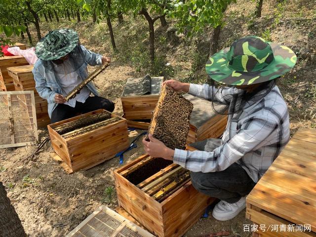 全面提升全县旅游文化内涵,挖掘本土蜂产品品牌价值,倾力打造富民强县